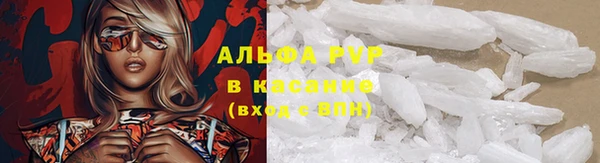 крисы Баксан