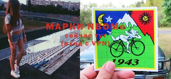 крисы Баксан