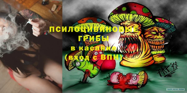стаф Беломорск
