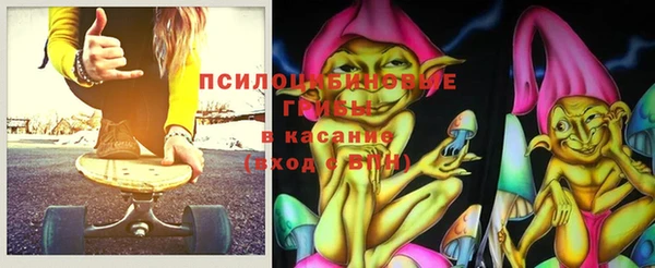 стаф Беломорск