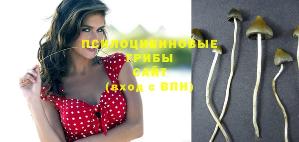 гашик Тавда
