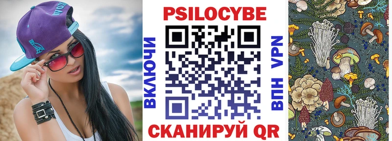 blacksprut маркетплейс  магазин    Кодинск  Галлюциногенные грибы ЛСД 